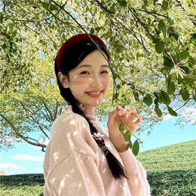 王之逆袭:意志的继承者