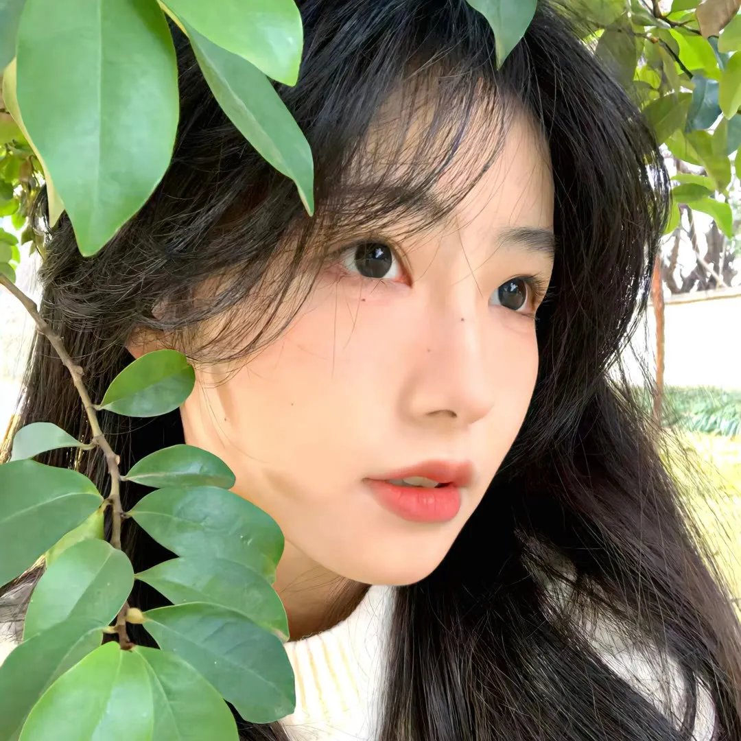 托托的色彩美学观